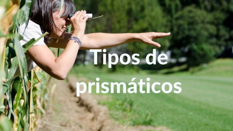 Imagen mujer con un binocular y señalando: Tipos de prismáticos