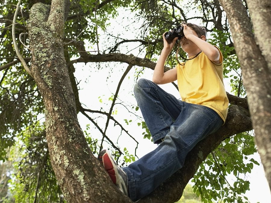 Foto de un niño subido a un árbol, mirando por unos prismáticos infantiles.