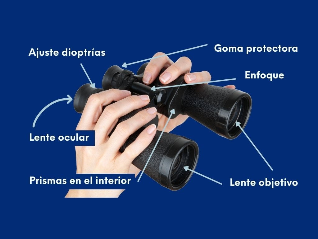 Esquema con las partes de un prismático o las partes de unos binoculares, que es lo mismo.