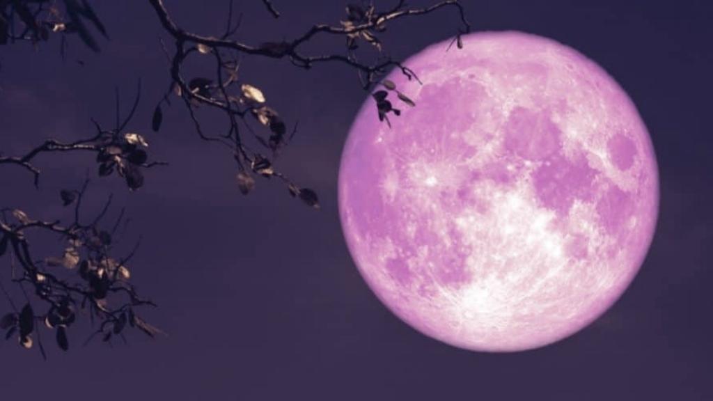 Foto retocada para representar la Luna Roza, que en realidad no se ve rosa.