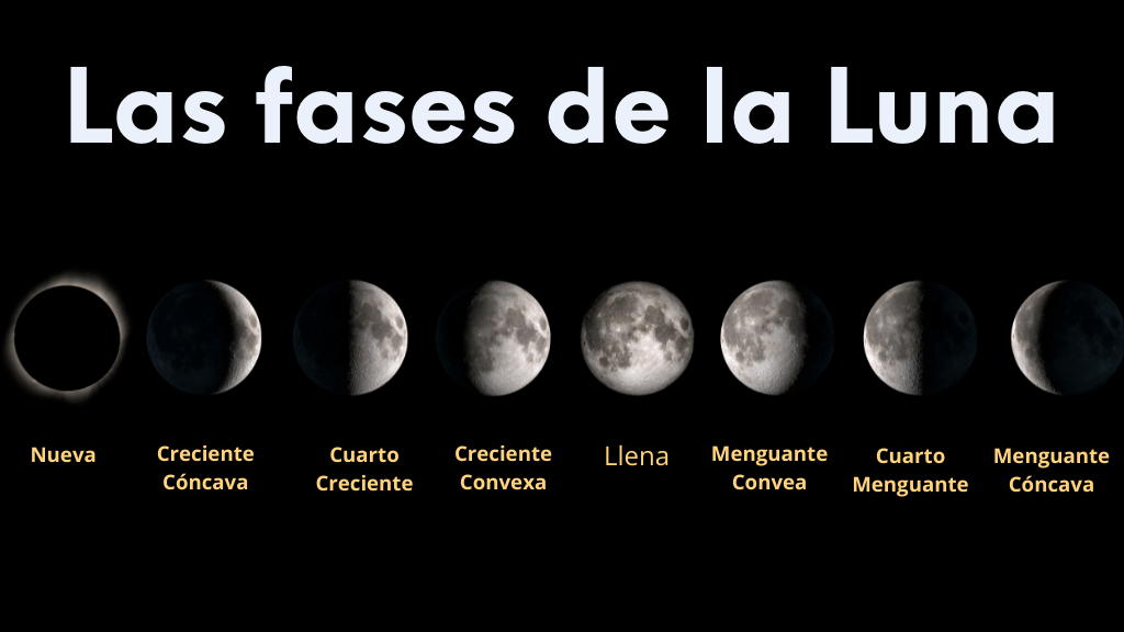 Imagen de las 8 fases por las que va pasando la Luna a lo largo de su ciclo.