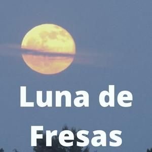 Imagen cuadrada de un paisaje de junio con Luna llena.