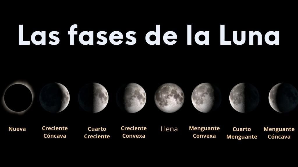 Imagen de las 8 fases por las que va pasando la Luna a lo largo de su ciclo.