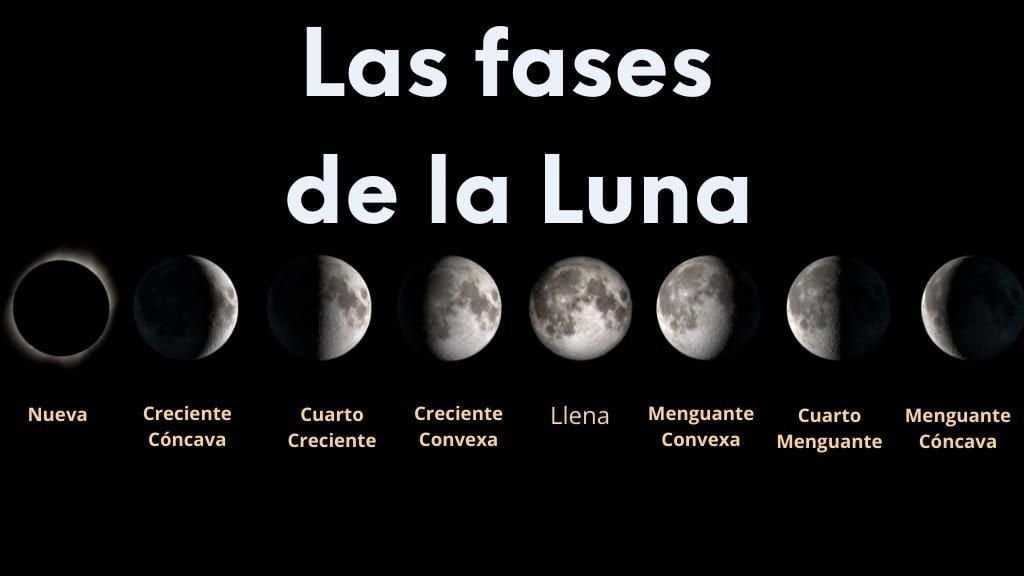 Imagen destacada con las 8 fases por las que va pasando la Luna a lo largo de su ciclo.