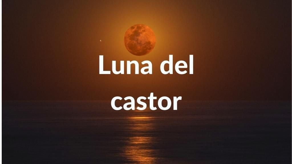 Foto de la Luna llena al fondo rojiza y sobre el mar en el horizonte y texto sobre impreso: Luna del Castor.