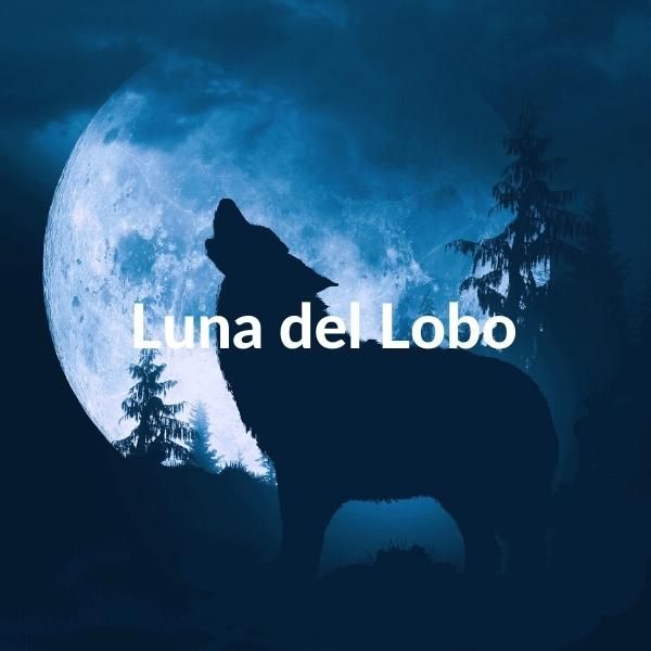 Imagen cuadrada con la Luna llena al fondo azulada y un lobo a contra luz en primer plano. Incluye el texto sobre escrito: Luna del Lobo.