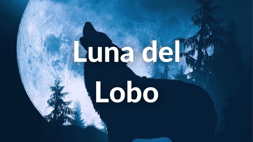 Imagen con la Luna llena al fondo azulada y un lobo a contra luz en primer plano. Incluye el texto sobre escrito: Luna del Lobo.