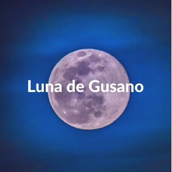 Imagen con la Luna llena de marzo sobre un cielo nocturno en tonos azules. Incluye el texto sobre escrito: Luna de Gusano. 